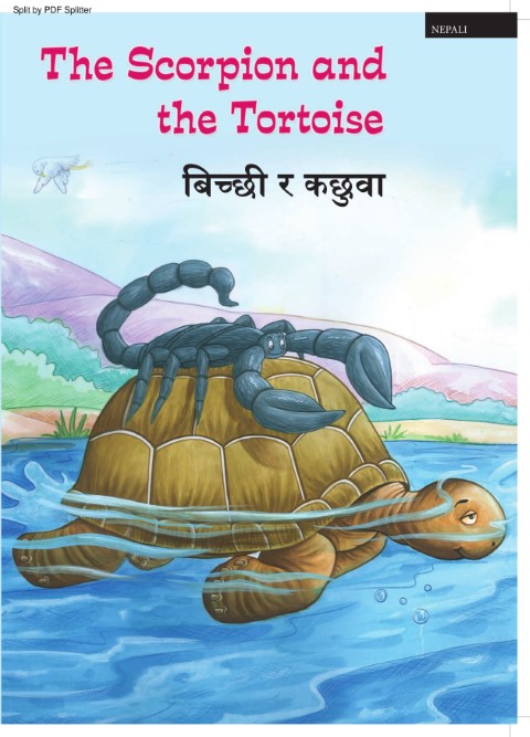 The Scorpion and the Tortoise